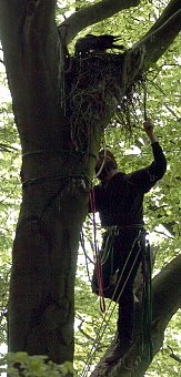 Gerettet (Foto: nnz)