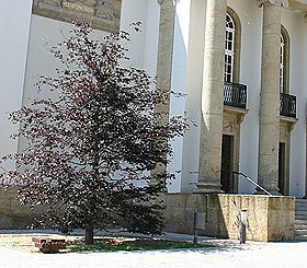 Die dritte Auflage (Foto: nnz)