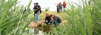 Spione aus dem All (Foto: nnz)