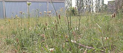 Spenden-Marathon (Foto: nnz)