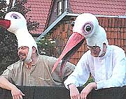 Storchentanz und Zauberspuk  (Foto: nnz)