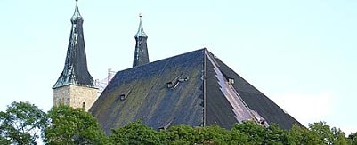 nnz-Foto des Tages: Erstes Kupfer (Foto: nnz)