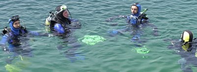 Neptuns Erben (Foto: nnz)