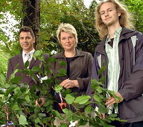Neuer Baum im Park Hohenrode (Foto: nnz)