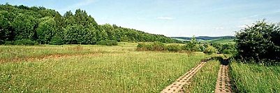 An der Grenze entlang (Foto: nnz)