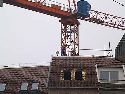 nnz-Foto des Tages (Foto: nnz)