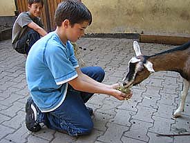 In die Augen blicken (Foto: nnz)