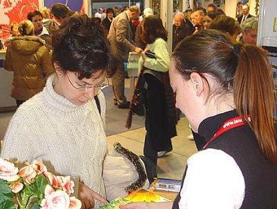 Die erste Halbzeit ist geschafft (Foto: nnz)
