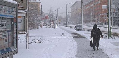 nnz-Fotos des Tages: Unterschiede (Foto: nnz)