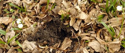 Naturliebhaber unterwegs (Foto: nnz)