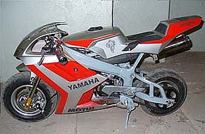 Gef&auml;hrliche Zwerge (Foto: nnz)