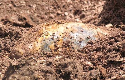 Jetzt wird es ernst (Foto: nnz)