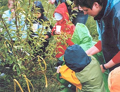 Fr&uuml;chte soll er tragen (Foto: nnz)