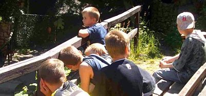 nnz-Leserforum: W&ouml;lfe, B&auml;ren, Fu&szlig;ballkinder (Foto: nnz)