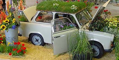 Flower Power (Foto: nnz)