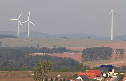 nnz-Foto des Tages (Foto: nnz)