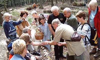 Erfolgreiche Pilzexkursion (Foto: nnz)