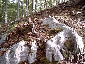 Auf nach Klettenberg (Foto: nnz)