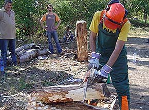 Auftakt mit Kettens&auml;ge (Foto: nnz)