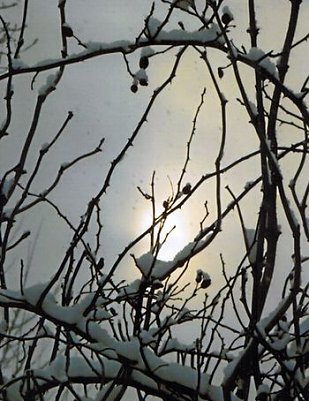 Romantik (Foto: H. Kneffel)