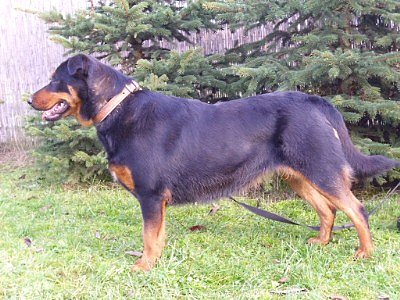 Lucy (Foto: C. Knust)