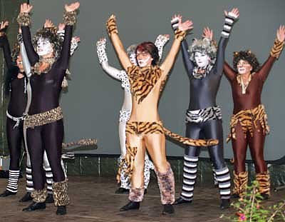 Kazten auf der B&uuml;hne (Foto: nnz)