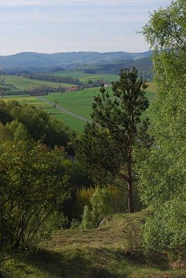 Arten erhalten (Foto: privat)