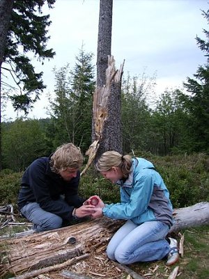 Praktikum in der Umwelt (Foto: privat)