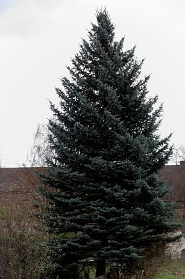 Geschenk f&uuml;r Nordhausen (Foto: privat)