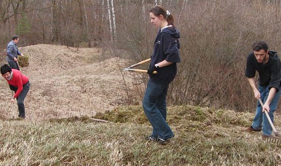 Pflegen (Foto: B. Schwarzberg) Pflegen (Foto: B. Schwarzberg)