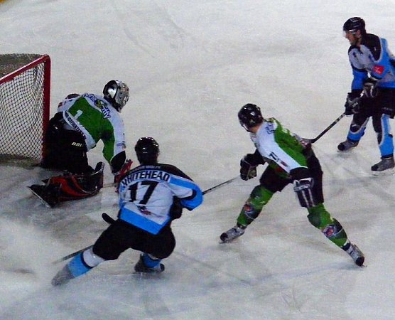 Sieg gegen Salzgitter (Foto: R. Koch)