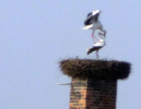 Angekommen (Foto: A. Rzehak)