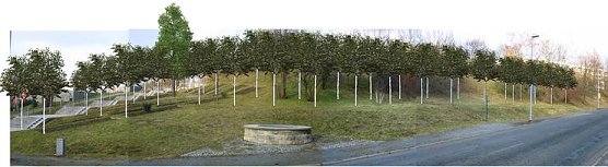 Ansicht  (Foto: PSV)