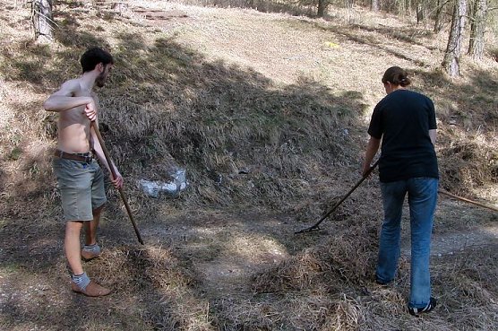 Gepflegt (Foto: B. Schwarzberg) Gepflegt (Foto: B. Schwarzberg)