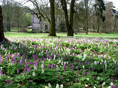 Bl&uuml;hender Park (Foto: privat)