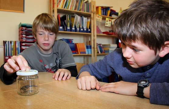 Karst entdecken (Foto: J. Piper)