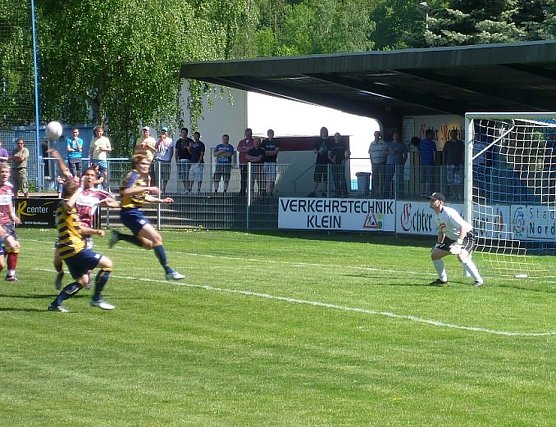 Unbequeme G&auml;ste (Foto: Klaus Verkouter)