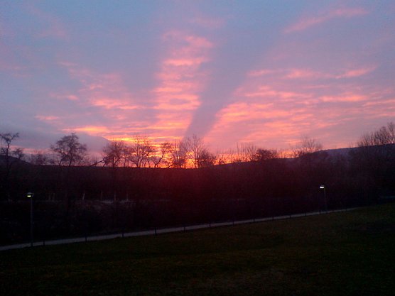 Aufgegangen (Foto: Hentrich) Aufgegangen (Foto: Hentrich)