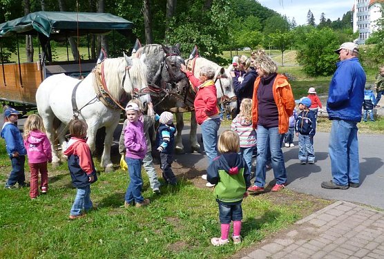 Erlebnisreicher Tag (Foto: JUSOWE) Erlebnisreicher Tag (Foto: JUSOWE)