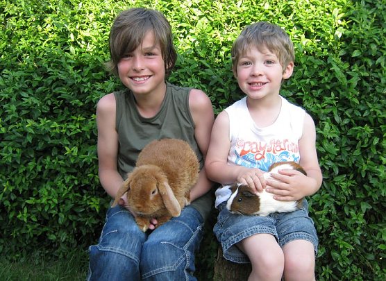 Bald Ferien! (Foto: privat) Bald Ferien! (Foto: privat)