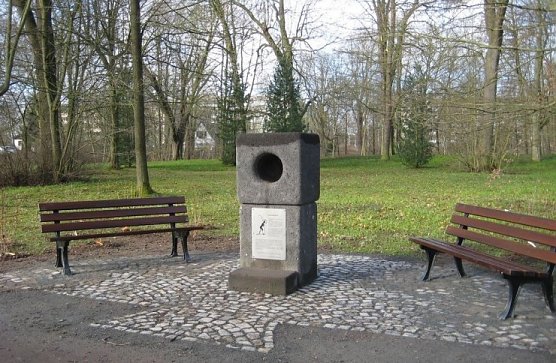 Hier wird gesummt (Foto: psv)