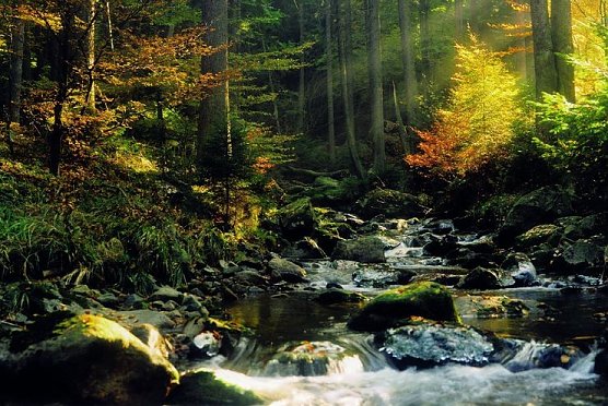 Nationalpark Harz stellt sich vor (Foto: privat)