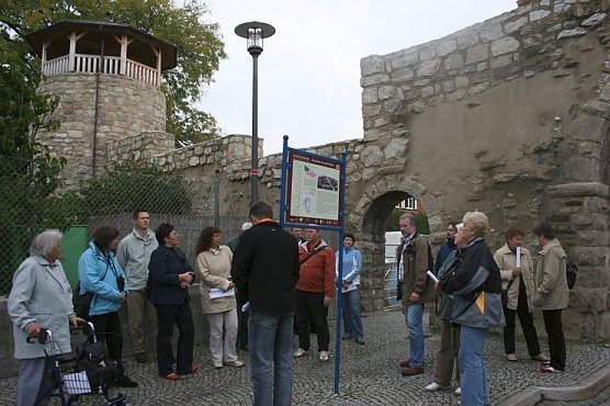 Infoschild (Foto: Wille) Infoschild (Foto: Wille)