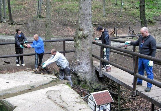 Kuhbrunnen aufgepeppt (Foto: privat)