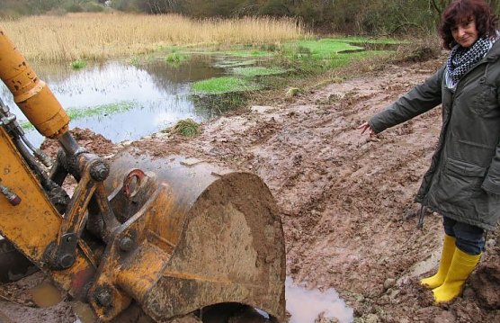 Teiche und Damm (Foto: psv)