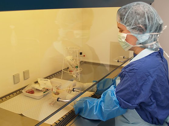 Die etwas andere Apotheke (Foto: SHK)