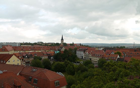 Dombesichtigung (Foto: Tobias Wendehost) Dombesichtigung (Foto: Tobias Wendehost)