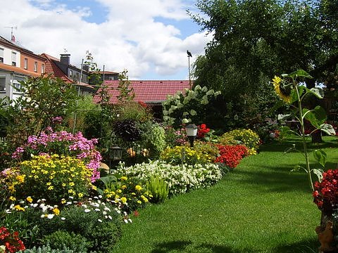 Unser Garten (Foto: privat)