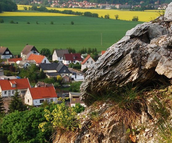 Blick auf Niedersachswerfen (Foto: BUND)