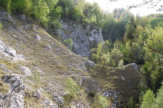 Hier wird entlang gewandert (Foto: BUND)